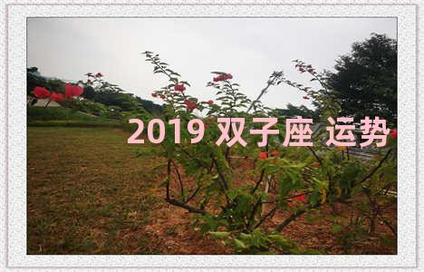 2019 双子座 运势